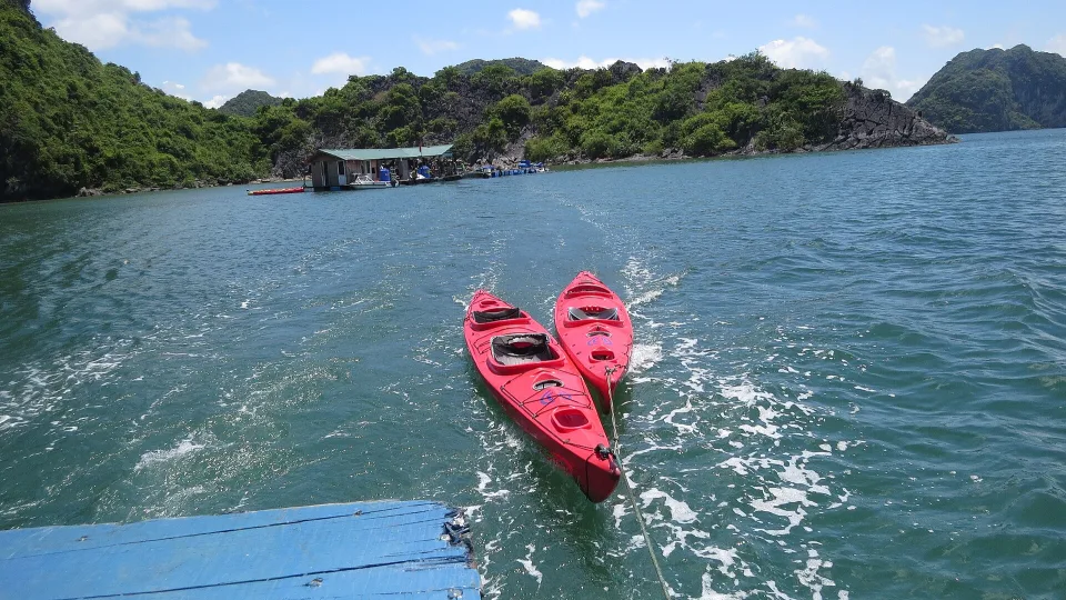 Chèo kayak vịnh Lan Hạ: điểm chèo đẹp, mùa đẹp và lưu ý an toàn