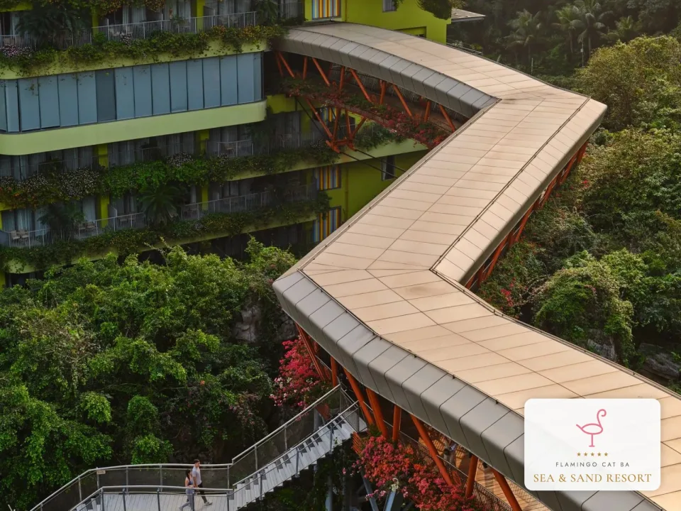 Cầu Mây (Mây Sky Walk)