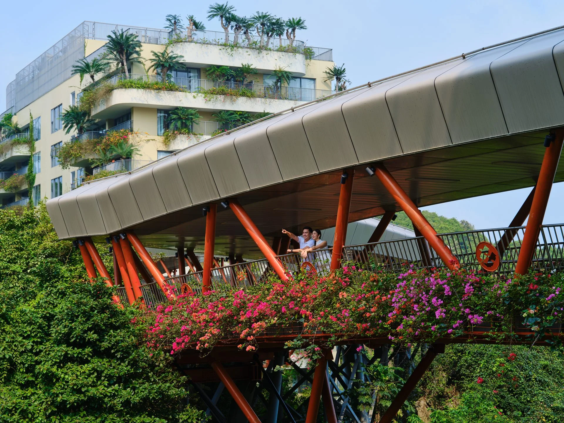 Cầu Mây (Mây Sky Walk)