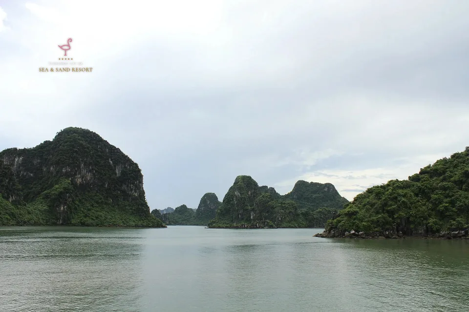 Vịnh Lan Hạ hay vịnh Hạ Long: nên chọn đâu cho chuyến đi của quý khách