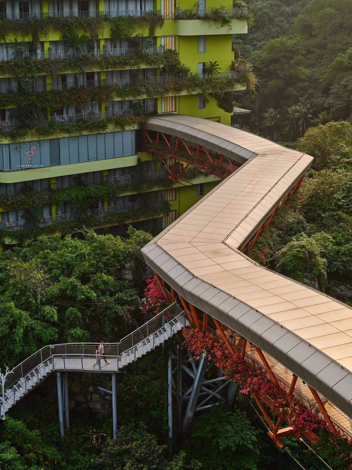 Cầu Mây (Mây Sky Walk)