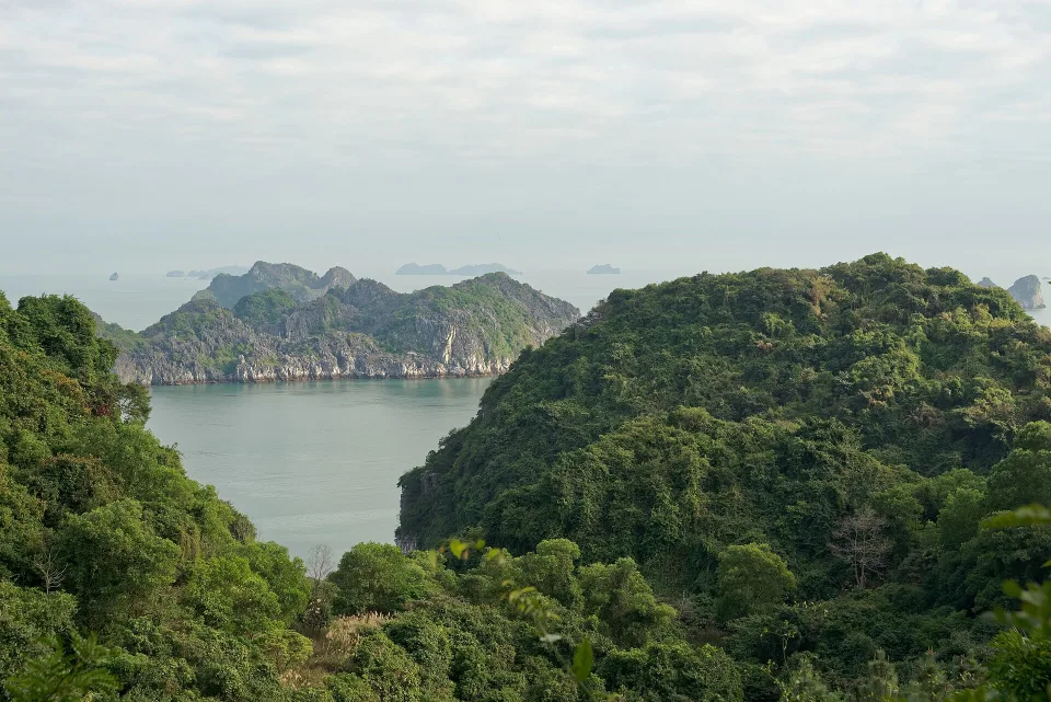 Cat Ba Island Travel Guide 2026: How to Get There and What to Do